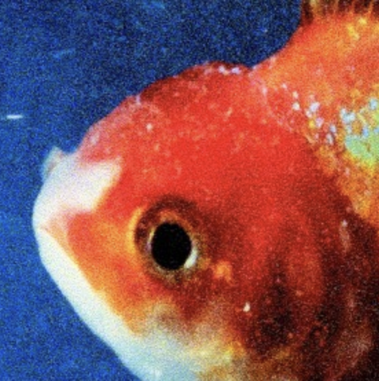 Big Fish Theory by Vince Staples