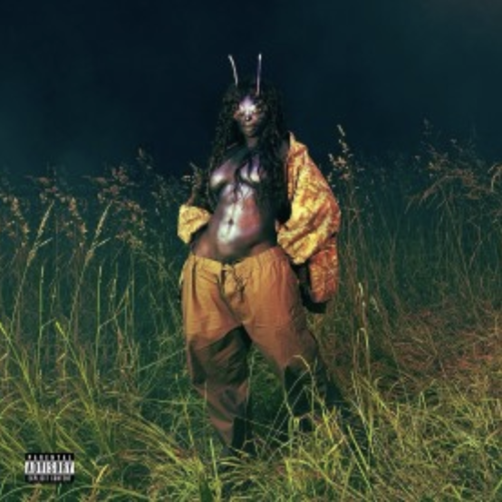 SOS Deluxe: LANA by SZA