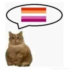 A cat speaking the lesbian flag (in a speech bubble)