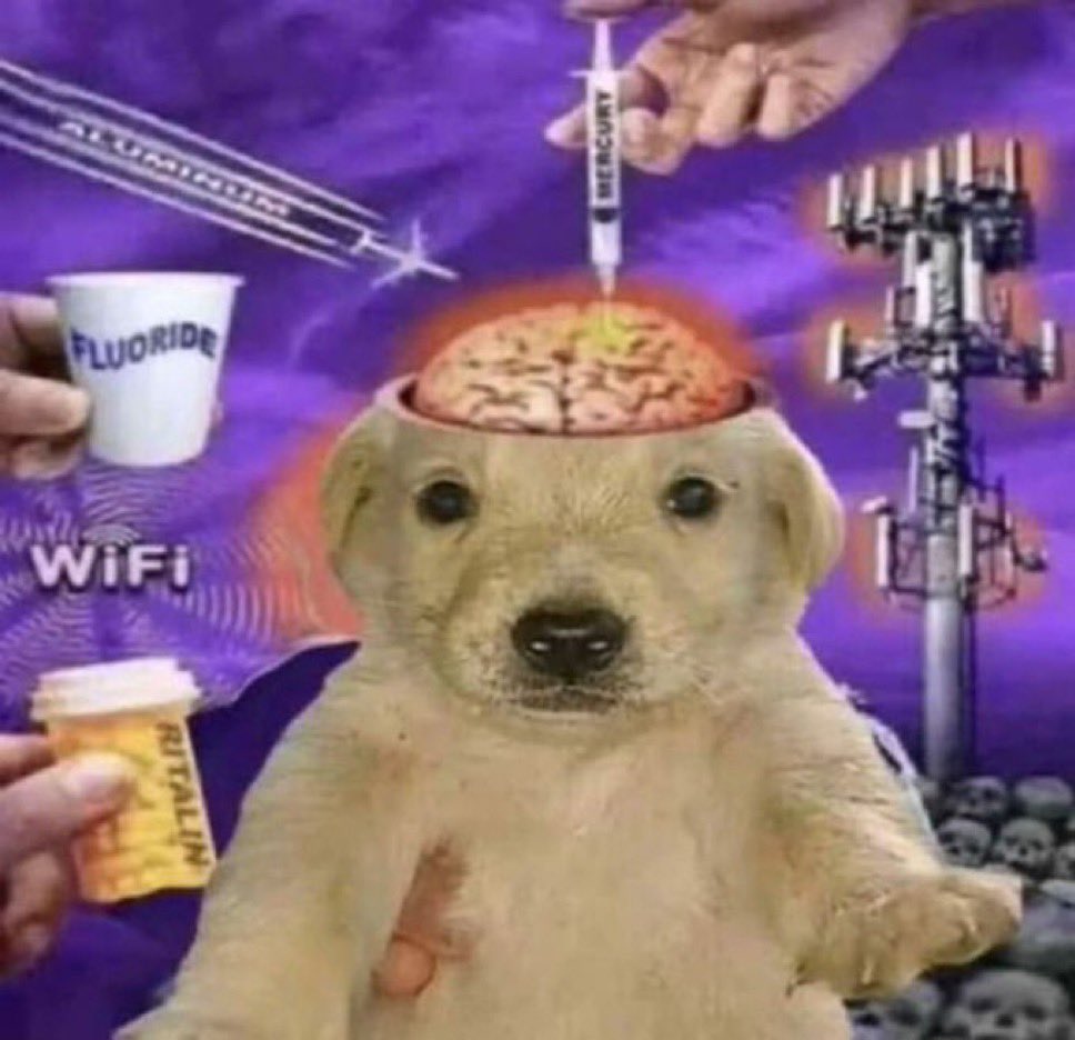 A puppy with an exposed brain being injected with mercury, as an aluminum plane goes by, a cup of fluoride and Ritalin are offered to him, and he is exposed to WiFi signals. There are skulls and an electrical tower in the background.